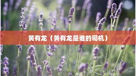 黄有龙（黄有龙是谁的司机）