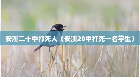 安溪二十中打死人（安溪20中打死一名学生）