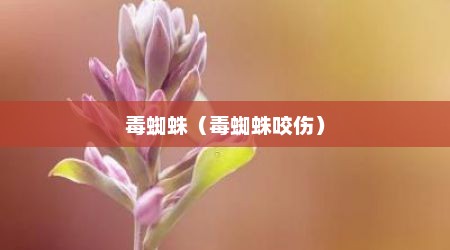 毒蜘蛛（毒蜘蛛咬伤）