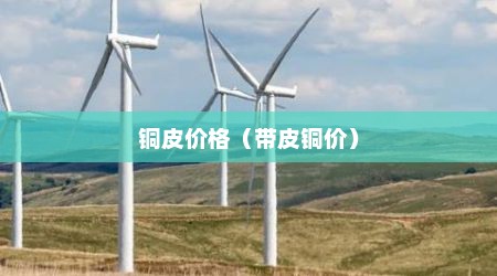 铜皮价格（带皮铜价）