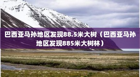 巴西亚马孙地区发现88.5米大树（巴西亚马孙地区发现885米大树林）