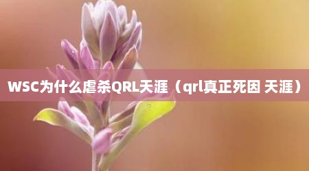WSC为什么虐杀QRL天涯（qrl真正死因 天涯）