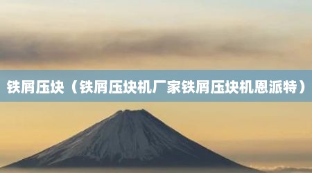 铁屑压块（铁屑压块机厂家铁屑压块机恩派特）