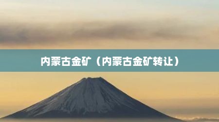 内蒙古金矿（内蒙古金矿转让）