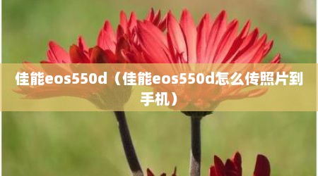 佳能eos550d（佳能eos550d怎么传照片到手机）
