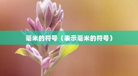 毫米的符号（表示毫米的符号）