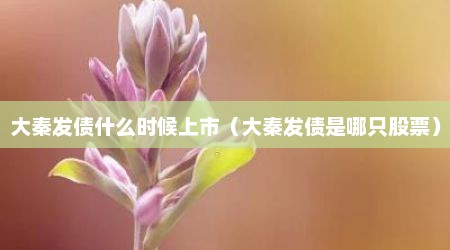 大秦发债什么时候上市（大秦发债是哪只股票）