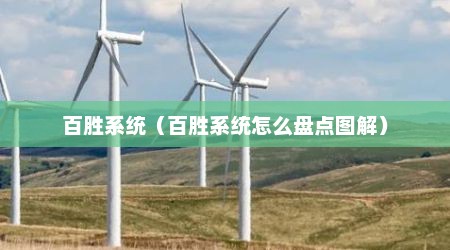 百胜系统（百胜系统怎么盘点图解）