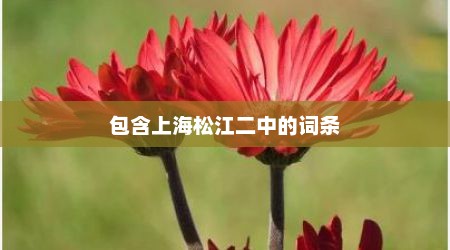 包含上海松江二中的词条