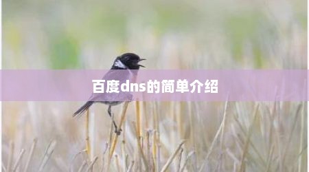 百度dns的简单介绍