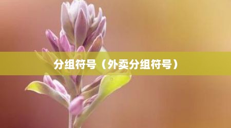分组符号（外卖分组符号）