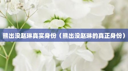 熊出没赵琳真实身份（熊出没赵琳的真正身份）