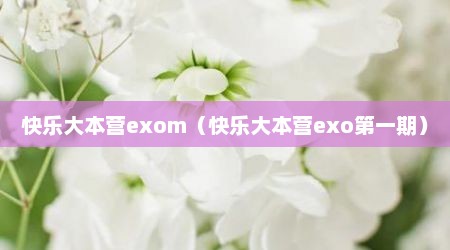 快乐大本营exom（快乐大本营exo第一期）