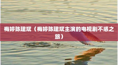 梅婷陈建斌（梅婷陈建斌主演的电视剧不惑之旅）