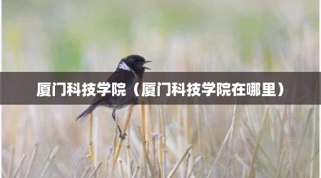 厦门科技学院（厦门科技学院在哪里）