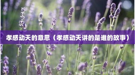 孝感动天的意思（孝感动天讲的是谁的故事）