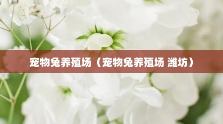 宠物兔养殖场（宠物兔养殖场 潍坊）