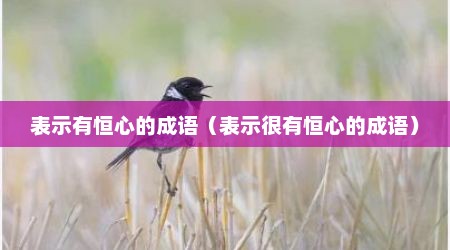 表示有恒心的成语（表示很有恒心的成语）