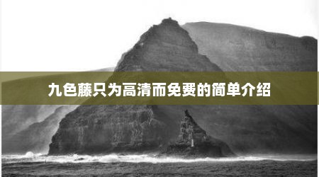 九色藤只为高清而免费的简单介绍