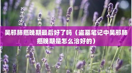 吴邪肺癌晚期最后好了吗（盗墓笔记中吴邪肺癌晚期是怎么治好的）