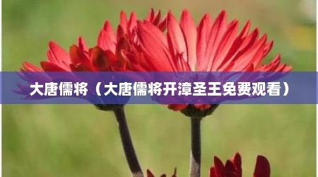 大唐儒将（大唐儒将开漳圣王免费观看）