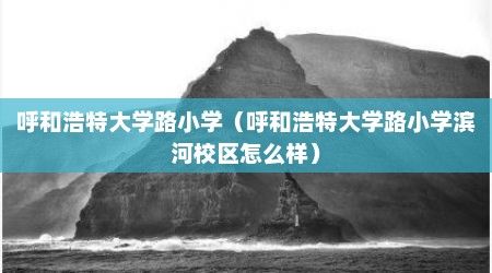 呼和浩特大学路小学（呼和浩特大学路小学滨河校区怎么样）