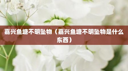 嘉兴鱼塘不明坠物（嘉兴鱼塘不明坠物是什么东西）
