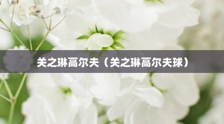 关之琳高尔夫（关之琳高尔夫球）