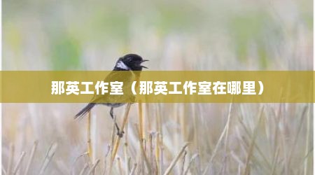 那英工作室（那英工作室在哪里）
