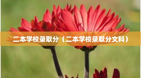 二本学校录取分（二本学校录取分文科）