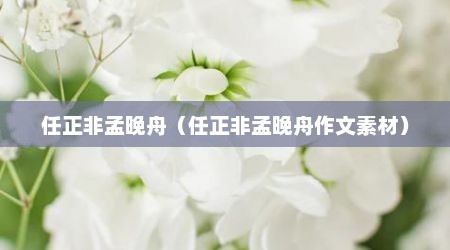 任正非孟晚舟（任正非孟晚舟作文素材）