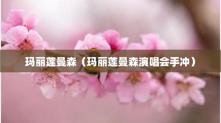 玛丽莲曼森（玛丽莲曼森演唱会手冲）