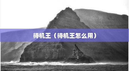 待机王（待机王怎么用）