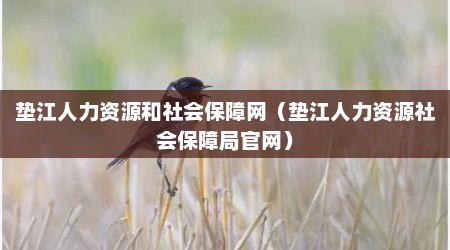 垫江人力资源和社会保障网（垫江人力资源社会保障局官网）