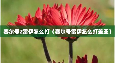 赛尔号2雷伊怎么打（赛尔号雷伊怎么打盖亚）