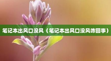 笔记本出风口没风（笔记本出风口没风咋回事）