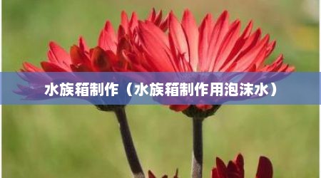 水族箱制作（水族箱制作用泡沫水）