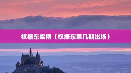 权振东梁博（权振东第几期出场）