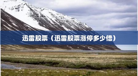 迅雷股票（迅雷股票涨停多少倍）