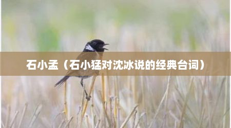 石小孟（石小猛对沈冰说的经典台词）