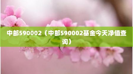 中邮590002（中邮590002基金今天净值查询）