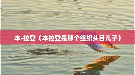 本-拉登（本拉登是那个组织头目儿子）
