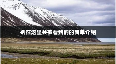 别在这里会被看到的的简单介绍