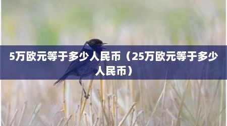 5万欧元等于多少人民币（25万欧元等于多少人民币）