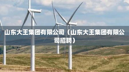 山东大王集团有限公司（山东大王集团有限公司招聘）