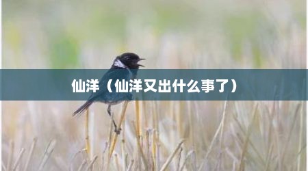 仙洋（仙洋又出什么事了）