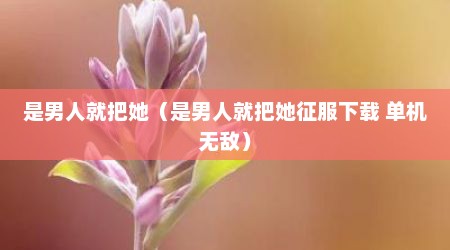 是男人就把她（是男人就把她征服下载 单机无敌）