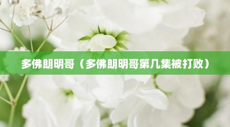 多佛朗明哥（多佛朗明哥第几集被打败）