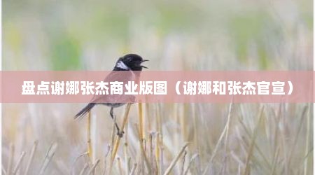 盘点谢娜张杰商业版图（谢娜和张杰官宣）