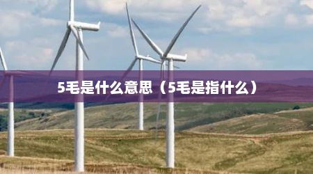 5毛是什么意思（5毛是指什么）